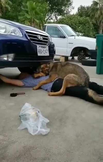 Just helping with the oil change...