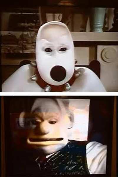 reality is a lie, Wallace