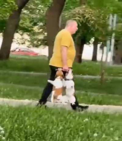 Just a normal day heading home from the park...