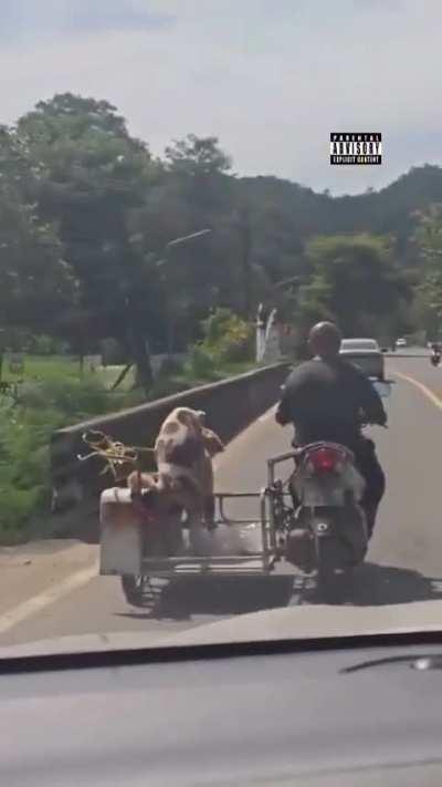 My fellow Redditors I present you with a crazy 