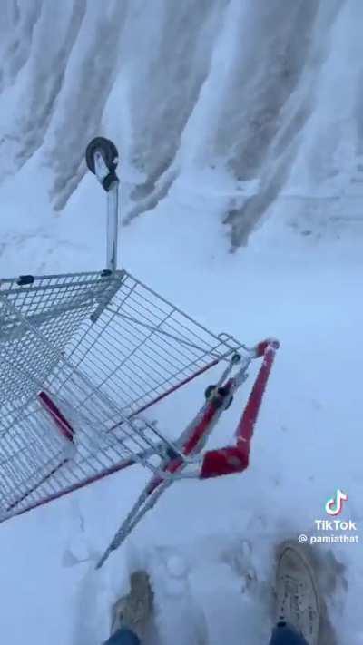 You never know where your shopping cart has been.