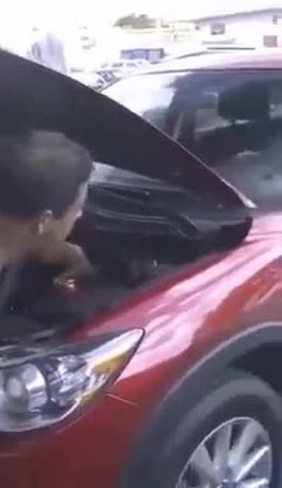 Behold, Thurston the Conductor.