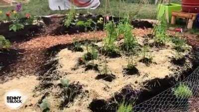 Come on down to CHAZ!