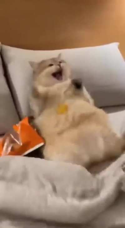 Leave her alone bro!