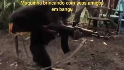 Depois vcs dizem que ele não é cria