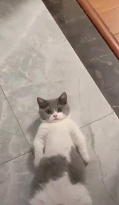 Pretending to be a hooman