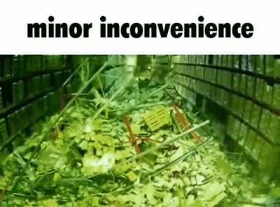 minor inconvenience