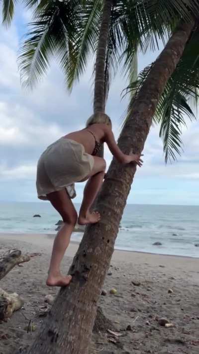 Climbing a tree : IG story Jan'26