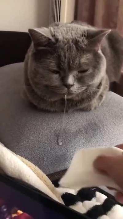 Dreaming of the good stuff