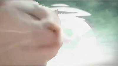 I have no clue how people hate this op its one of the best anime op's ive ever heard/seen