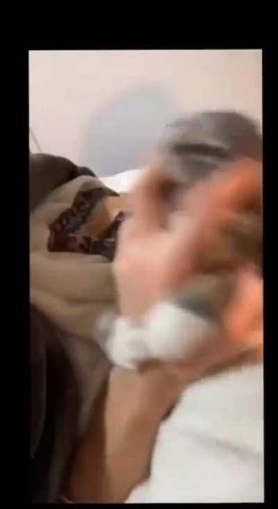 His name is Meow Cena