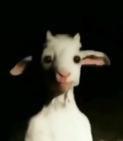 I found this gem on r/cursedvideos hmm