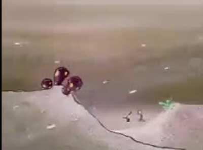 Have a full spongebob episode