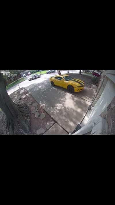 Dog runs after man, he mistakenly runs into oncoming car.