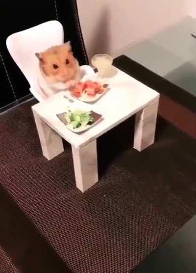 What I'm actually doing when I tell people that I'm too busy to go out on Saturday night