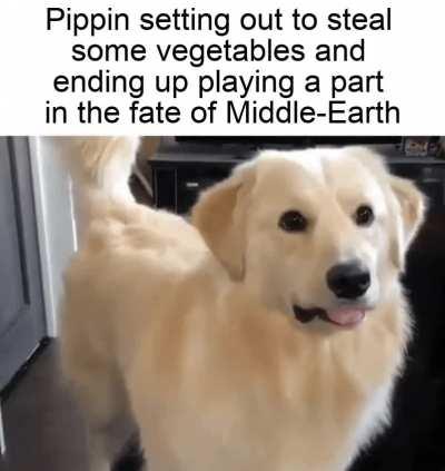 He just wanted some carrots...