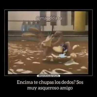 Noooo conejo ql (No es mío)