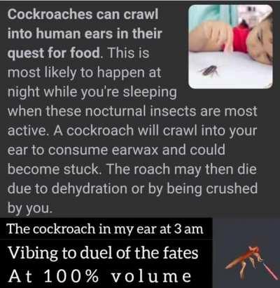 Vibing cockroach at 3am