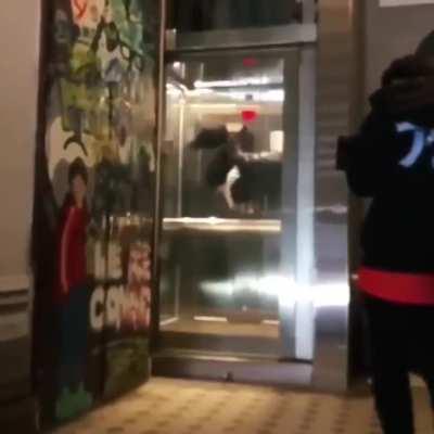 Doing a backflip in an elevator