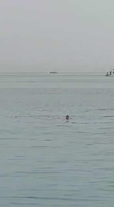 (CAREFUL: Graphic Content) Shark Attacks Russian Tourist in Hurghada, Egypt on June 8th, 2023