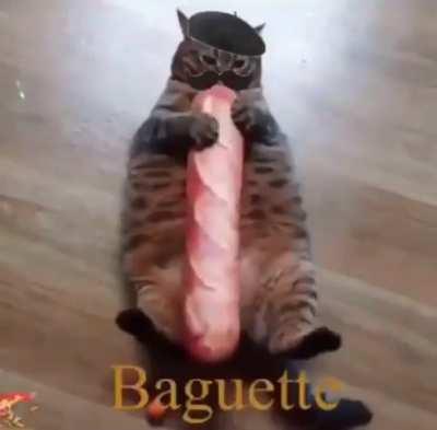 Baguette kitty