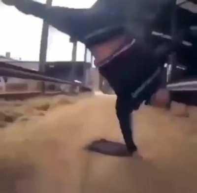 psyor eardm gtrbx qksbo kwhve uf