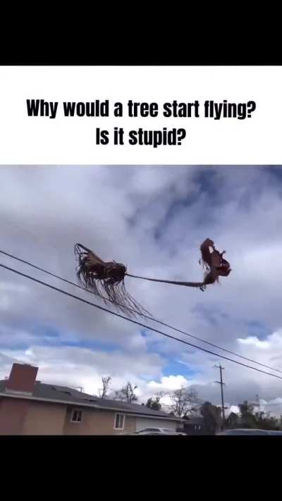 why would it do that