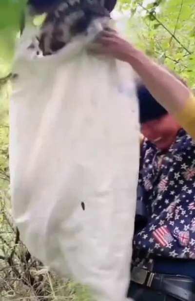 Camera man stays there just chilling with the friendly bees