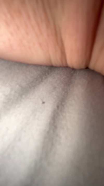 She’s so fucking hot