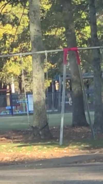 Ghost swinging? Yes the wind was blowing but this swing is really moving.