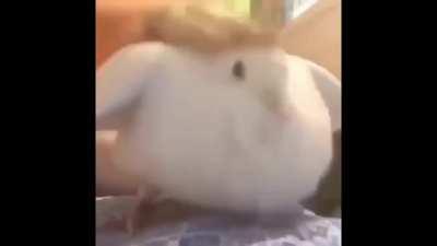 If anybody would like to use this, please do so