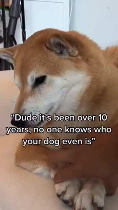 Dogedog