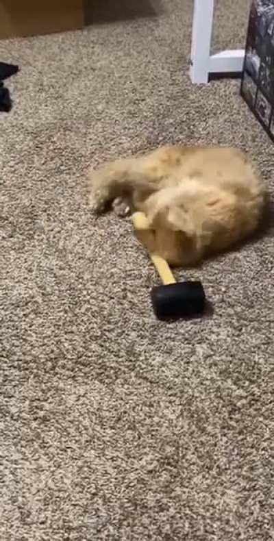 Refuses to touch her other toys