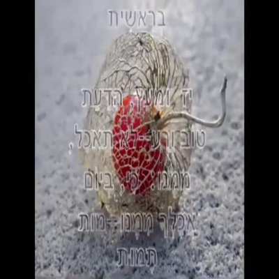 დადგება შურისძიების დღე. დადგება შურისძიების დღე. დადგება შურისძიების დღე. დადგება შურისძიების დღე.დადგება შურისძიების დღე. დადგება შურისძიების დღე. დადგება შურისძიების დღე. დადგება შურისძიების დღე. დადგება შურისძიების დღე. დადგება შურისძიების დღე.