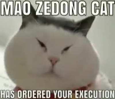 I'm 15 and this is yeet