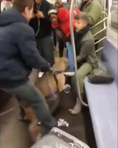 Freakout in the subway when a dog attacks a woman