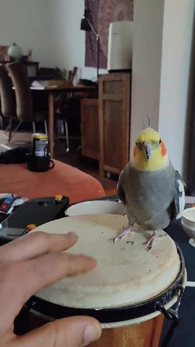 Those happy taps, best 5€ ever spent