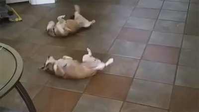 When the derp is contagious.