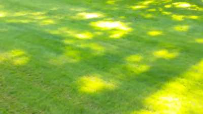 trying rabbit for the first time and this is what happens....