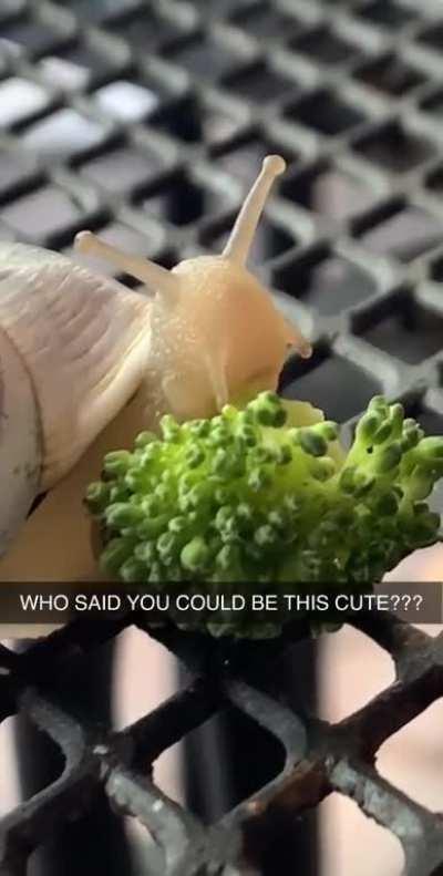 Chomping down on some broccoli