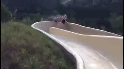 WCGW being such an inert mass