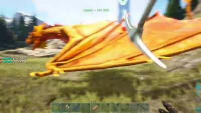 Wyvern doesn't seem to be happy about the rock hauling.