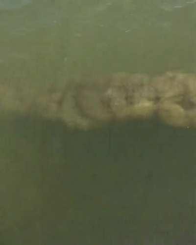 Always remember to test if there is something before you dive in!