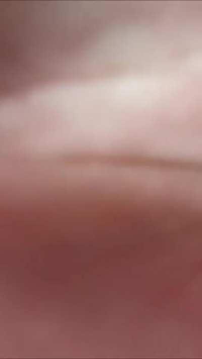 here's the perfect place for your christmas night