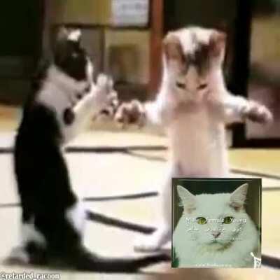 Cum Sex Fart Sex Sex Cum