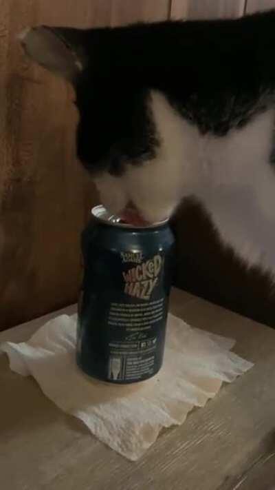 So much for enjoying my beer...