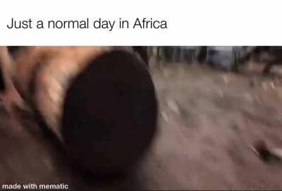 Macaco carioca ksksksksksk