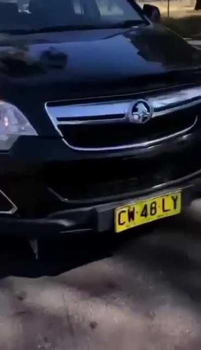 hmc while I attempt to run off