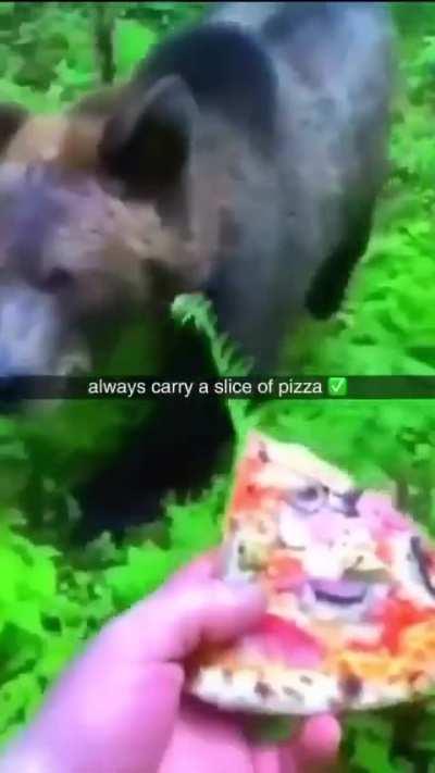 Beast tamers, is this what you go through?