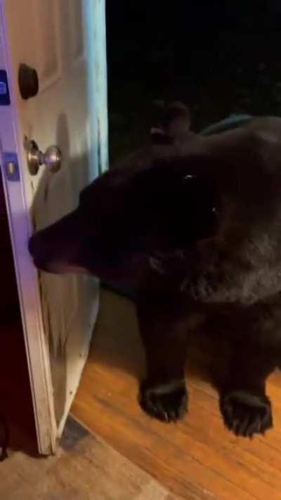 Don't mind me I'm just checking if... Wow nice place you got there